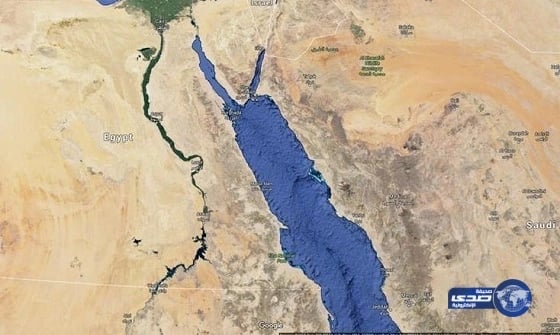 هيئة المهندسين: نزول المهندسات إلى الميدان يحكمه المجتمع والسوق