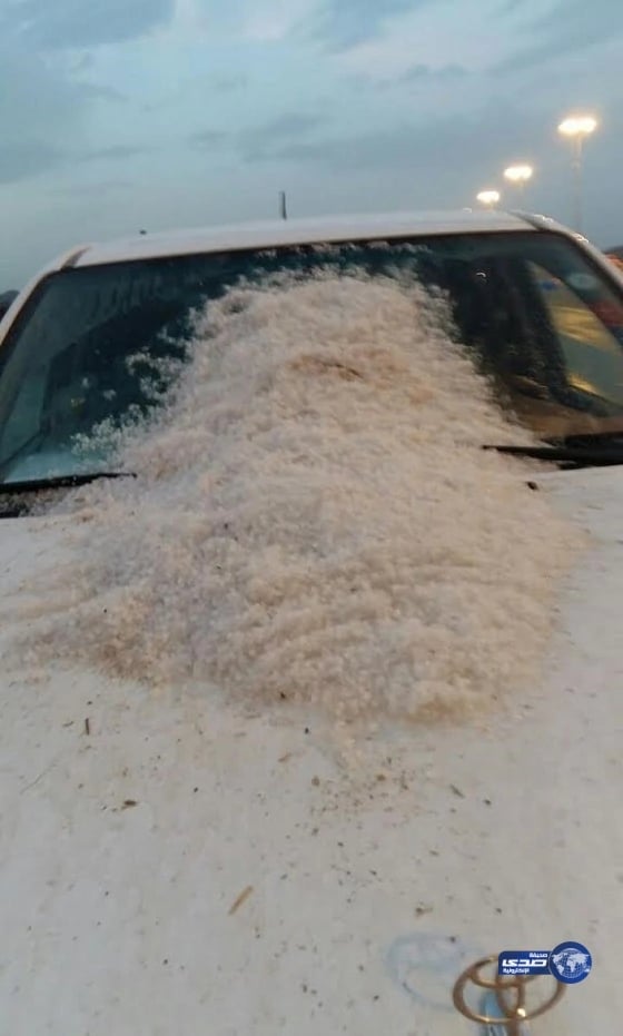 بالصور.. ضبط مواطن وعربيين في أكبر قضية تستر وغش تجاري بالرياض