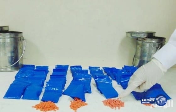 بالصور.. كبار العلماء: هناك معايير محددة لكشف التنظيمات الإرهابية