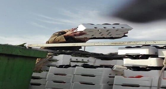 بالصور.. إتلاف 1290 كجم أغذية فاسدة في تبوك