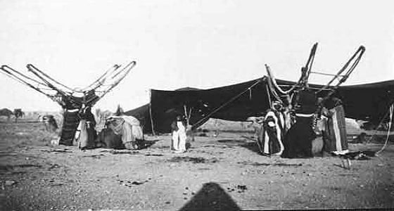 بالصور.. أسرار  ولع المستشرقين بـ " حائل " التاريخية