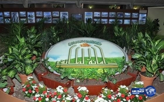 إصابة جديدة تبعد أنسيلمو عن تدريبات النصر 