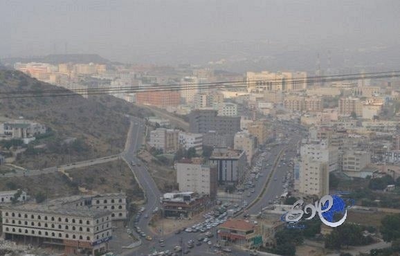 إلقاء القبض على 795 مخالفاً إفريقياً في الباحة