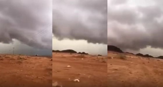 بالفيديو.. سحب رعدية ممطرة غرب تبوك