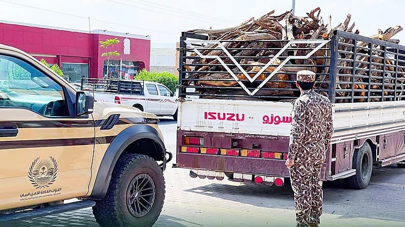 ضبط 5 مخالفين لاستخدامهم حطبًا محليًا في أنشطة تجارية بعسير "صور"