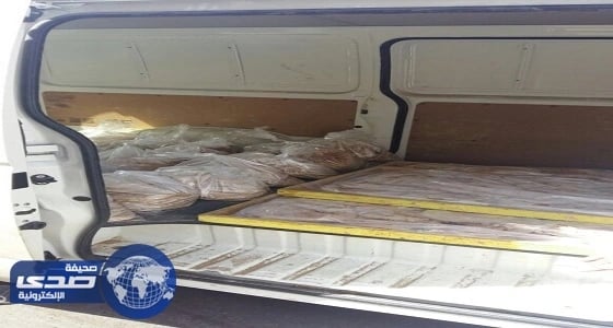 ضبط عمالة تدير مخبزا مخالفا بحوش شعبي بعروة المدينة