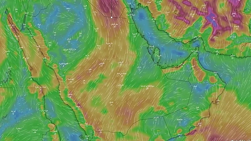 "الحصيني": أجواء حارة على معظم المناطق نهارا تميل للاعتدال فجرا