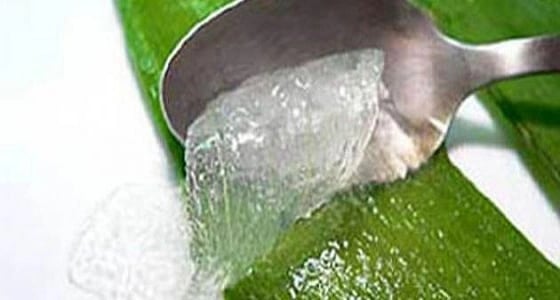 فوائد الصبار لعلاج القولون العصبي