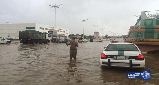 رسالة من جمال عارف لجماهير الاتحاد بشأن الصحفي وهوساوي