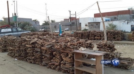 الزراعة تصدر قرارًا لتعديل عقوبة الاحتطاب والفحم المحلي