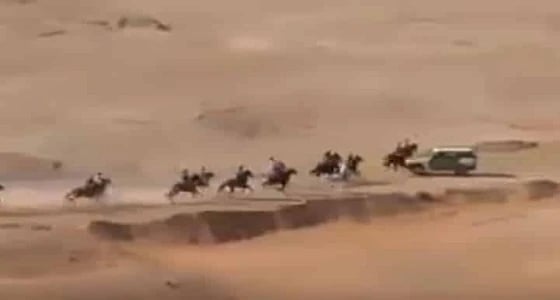 بالفيديو.. لحظة تصادم مروعة بين خيول وسيارة قاطعة لمضمار السبق