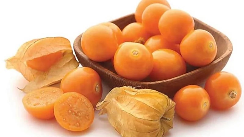 4 فوائد صحية مدهشة للحرنكش