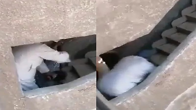 فيديو.. جزار يعتدي بوحشية على سيدة مسنة