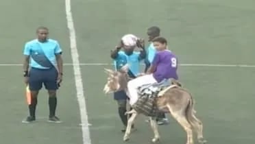 بالفيديو.. دخول شخص على حمار في كأس دولة إفريقية