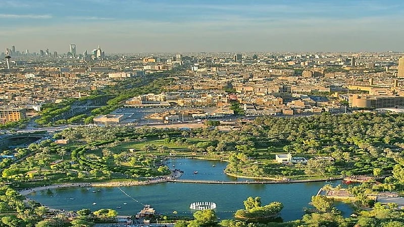 بالفيديو.. تعرف على مبادرة "السعودية الخضراء" وأهدافها