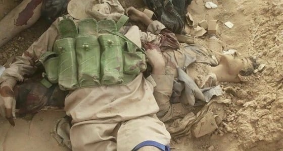 فيديو يوضح الفرق بين أبناء المملكة وأتباع خامنئي في المواجهات العسكرية