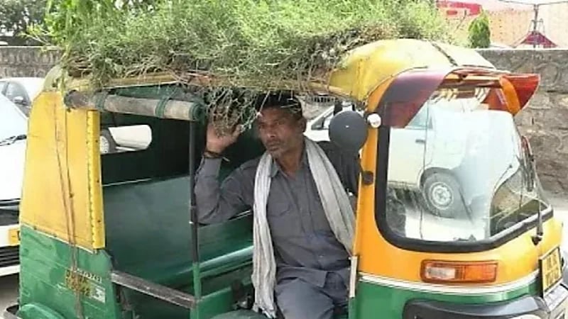 شاهد.. هندي يزرع بمركبته شجر لترطيب الزبائن