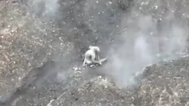 جندي روسي يقتل نفسه بعدما فشل في إسقاط مسيرة أوكرانية