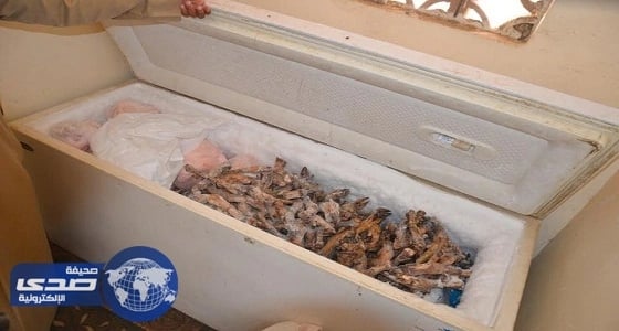 بالصور.. القبض على 8 مروجين للمخدرات و13 مصنعا للخمور بعسير