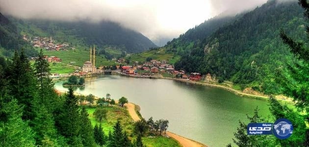 التأمينات تكشف عن شروط ضم مدد الاشتراك وفق نظام تبادل المنافع 