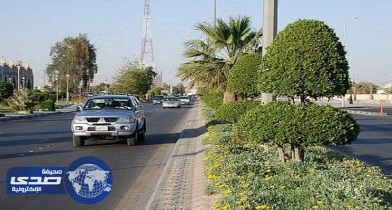 حملة شعبية لتشجير شوارع المملكة وريها بمياه «المكيفات»