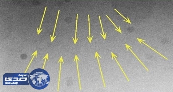 الفلك الدولي: رصد هلال رمضان من فوق جبل «حفيت» بالإمارات