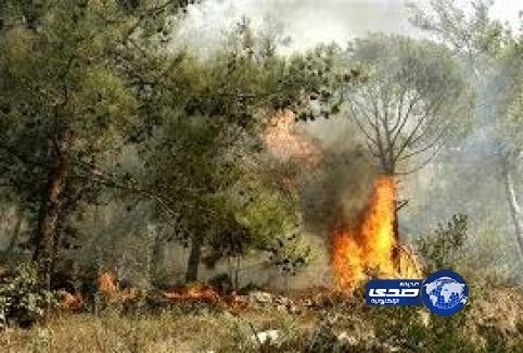 أسعار الذهب اليوم الأربعاء