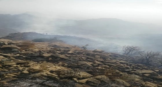 بالصور.. " مدني النماص " يسيطر على حريق أشجار بمنطقة جبلية