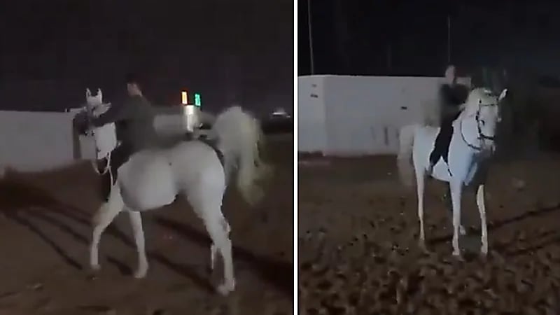 أب يوثق مهارة ابنه في ركوب الخيل ..فيديو