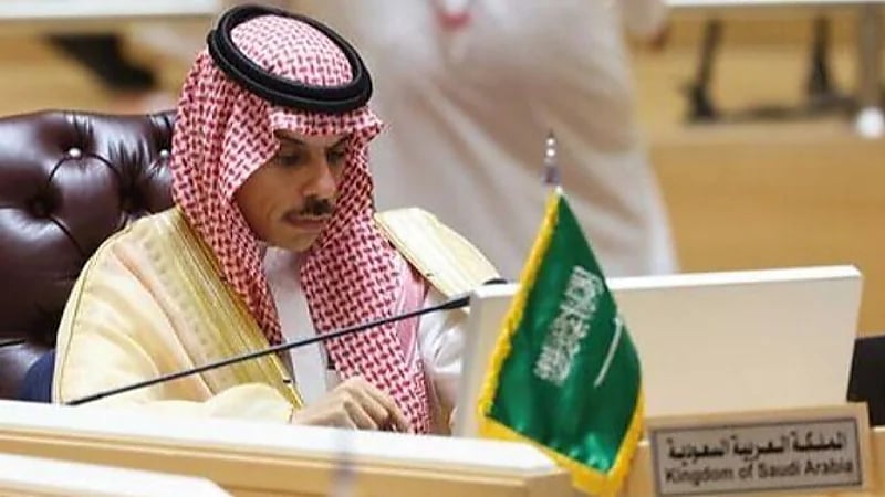 وزير الخارجية: يجب العمل على خطة ذات مصداقية لإنهاء الوضع الكارثي بغزة .. فيديو