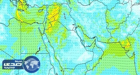 تحذيرات لمرضى العيون والجهاز التنفسي من طقس الغد