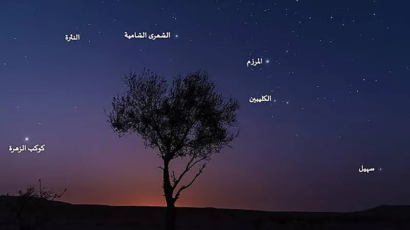 الزعاق: بقي 26 يوماً على سهيل وستبدأ درجات الحرارة بالتحسن من آخر الليل .. فيديو