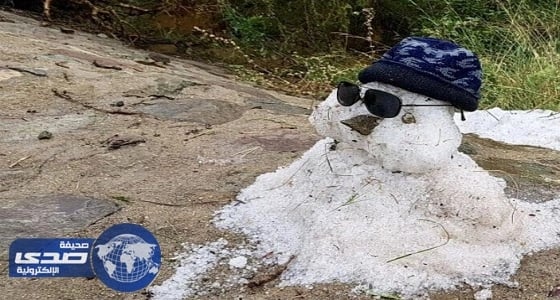 بالفيديو.. أمطار متوسطة إلى غزيرة مصحوبة بحبات البرد في أبها