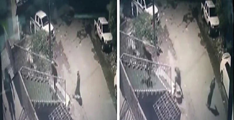 بالفيديو .. لصوص يسرقون محل تموينات في محافظة الداير بني مالك