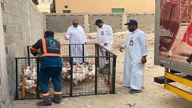 توقيف 8 مخالفين لنظام الإقامة والعمل بالدمام