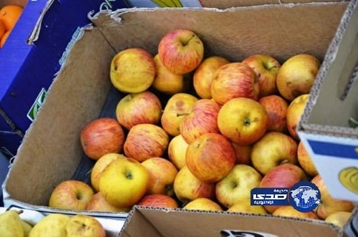 بالفيديو.. خروج ثعبان من تكييف لاصطياد فأر