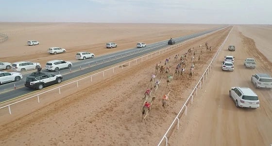 عضو مجلس الشورى يُطالب بِبَثّ فعاليات مهرجان الملك عبد العزيز للعالم أجمع