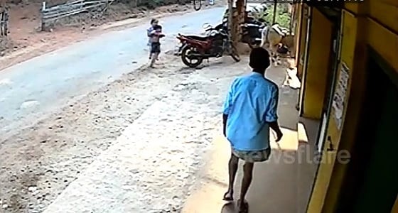 بالفيديو.. طفلة شجاعة تنقذ شقيقها الأصغر من هجوم بقرة عدوانية