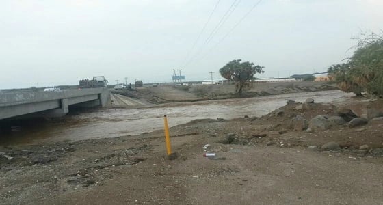 بلدية الساحل تجبر تجار الأعلاف على الانتقال للسوق الجديد.. والتجار يرفضون لخطورة موقعه