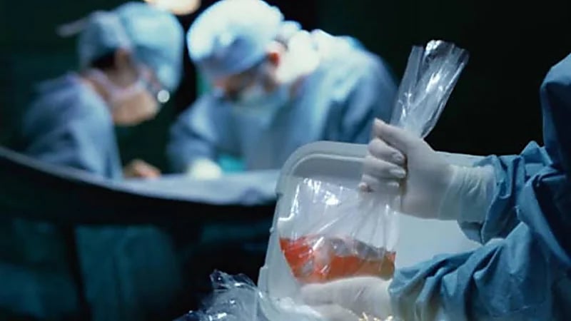 جراح مزيف يفتح بطن سيدة ويسرق كليتيها ويهرب