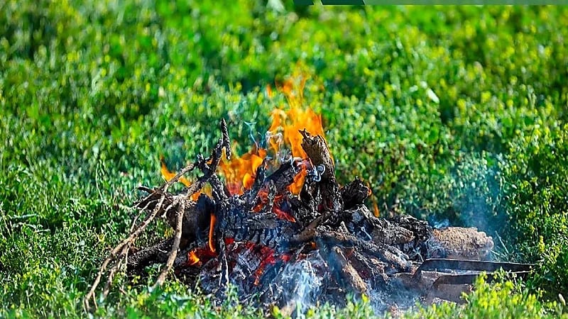 الأمن البيئي يحذر: غرامة 3 آلاف لإشعال النار على أراضي الغطاء النباتي