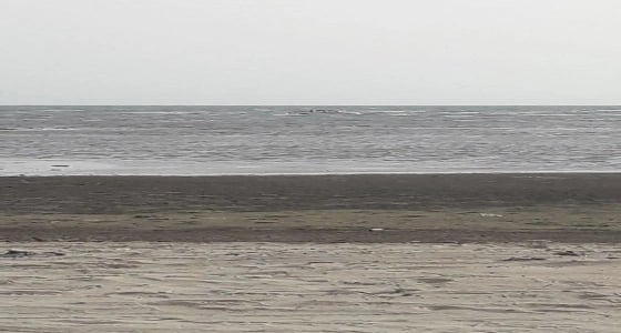 انتحار شخص في البحر بصامطة