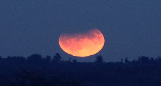 " القمر الأزرق " يزين سماء المملكة في 31 يناير