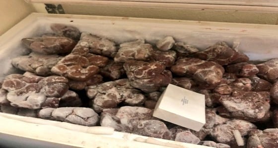 مصادرة لحوم وخضراوات مخالفة للاشتراطات الصحية بالباحة
