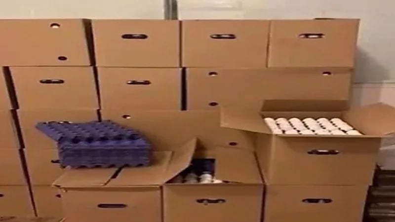 بالفيديو.. التجارة تضبط أكثر من 26 ألف كرتون بيض فارغ