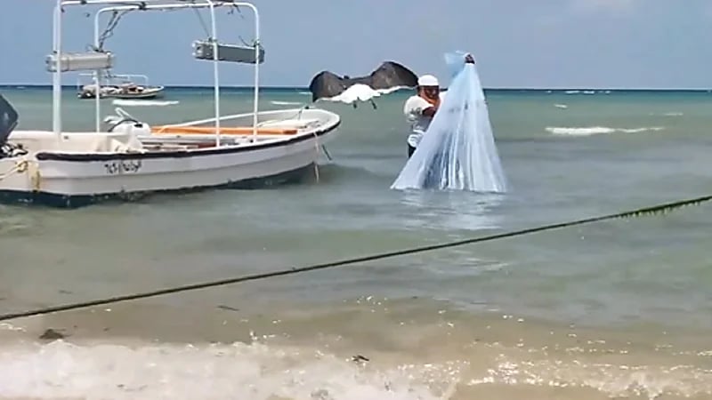 بالفيديو.. رحلة البحث عن اللؤلؤ في أعماق جزر فرسان