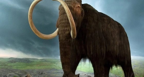 548 ألف يورو ثمن هيكل عظمي لعملاق العصر الجليدي