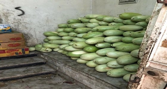 بالصور.. بلدية الغزة الفرعية تغلق 13 محلا مخالفا