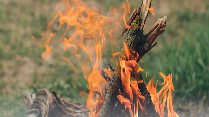 ضبط 5 مخالفين لنظام البيئة لقيامهم بإشعال نار في غير الأماكن المخصصة لها