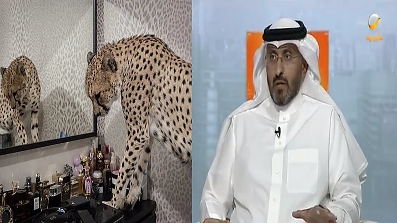 متحدث الحياة الفطرية يكشف كيف امتلك البعض حيوانات مفترسة رغم عدم الترخيص